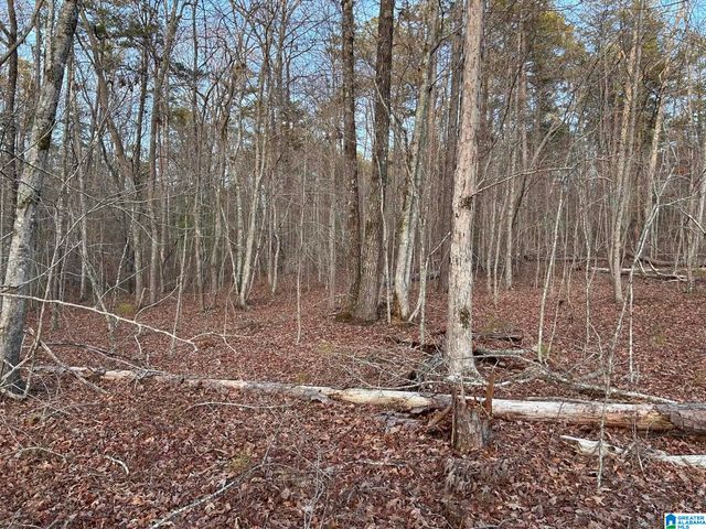 4424 COUNTY ROAD 66, Heflin, AL 36264