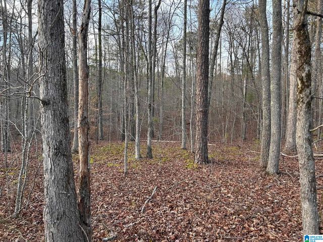 4424 COUNTY ROAD 66, Heflin, AL 36264