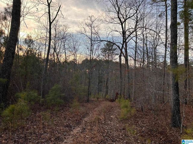 4424 COUNTY ROAD 66, Heflin, AL 36264