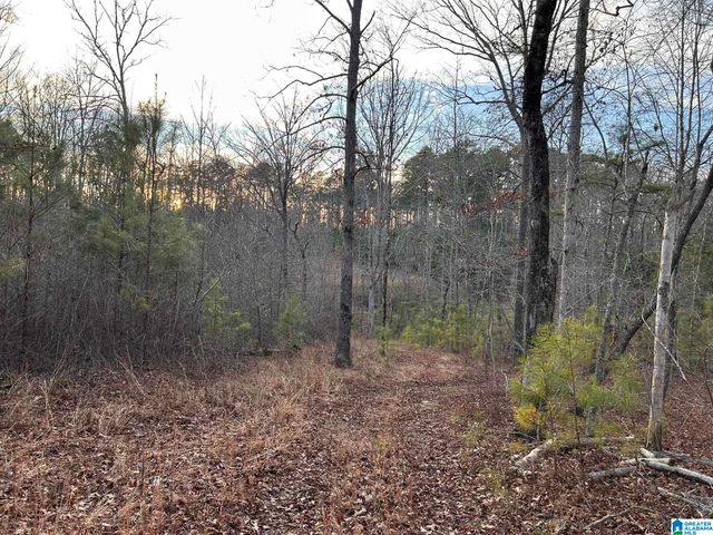 4424 COUNTY ROAD 66, Heflin, AL 36264