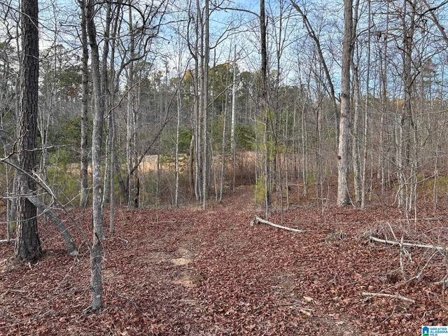 4424 COUNTY ROAD 66, Heflin, AL 36264