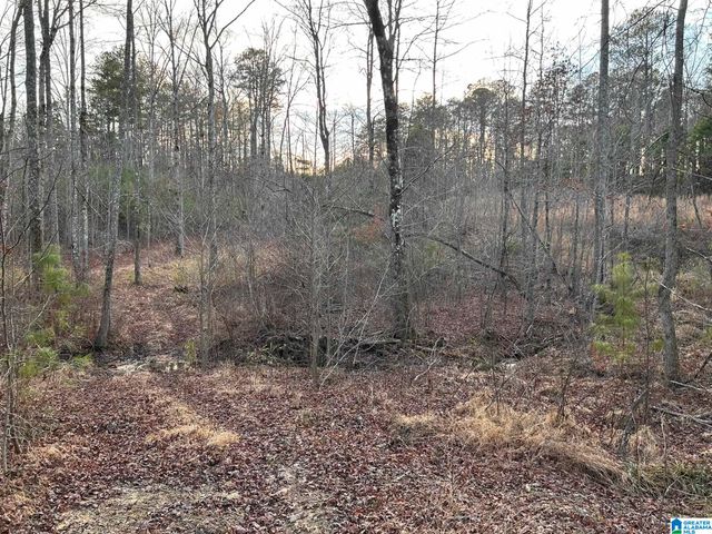 4424 COUNTY ROAD 66, Heflin, AL 36264