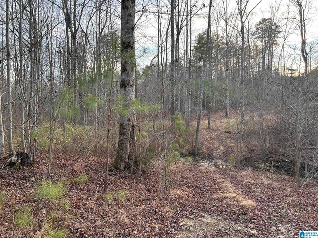 4424 COUNTY ROAD 66, Heflin, AL 36264