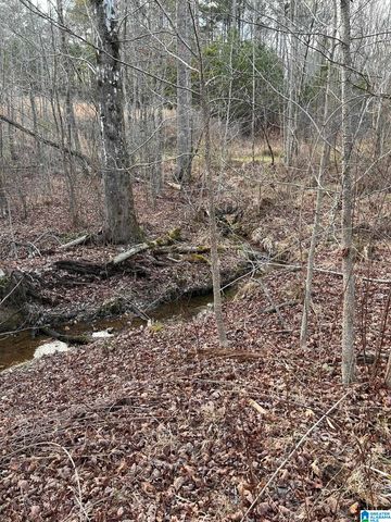 4424 COUNTY ROAD 66, Heflin, AL 36264