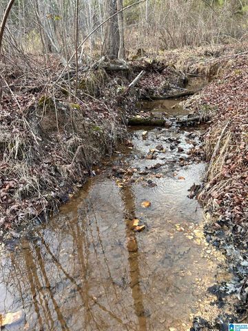 4424 COUNTY ROAD 66, Heflin, AL 36264