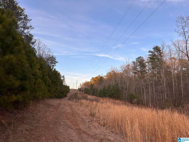 4424 COUNTY ROAD 66, Heflin, AL 36264