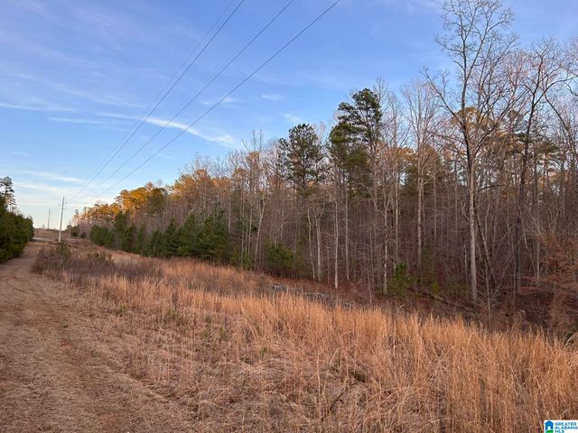 4424 COUNTY ROAD 66, Heflin, AL 36264