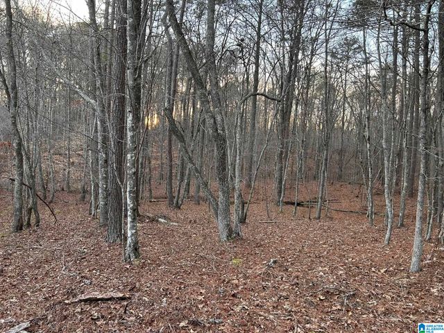 4424 COUNTY ROAD 66, Heflin, AL 36264