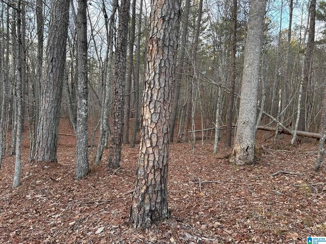 4424 COUNTY ROAD 66, Heflin, AL 36264