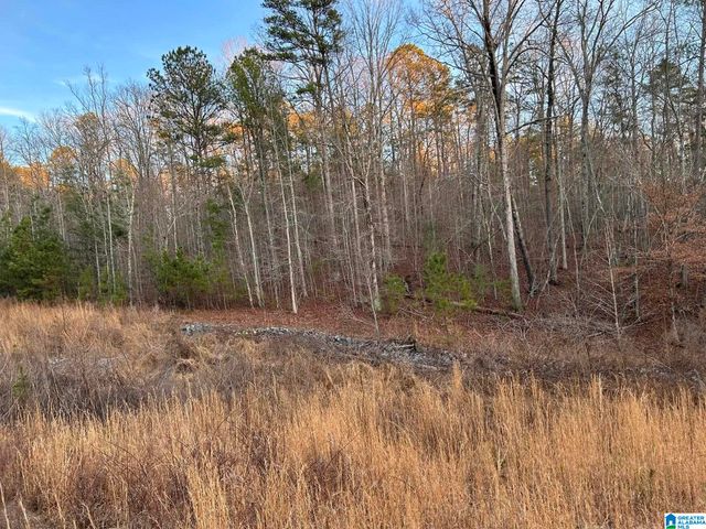 4424 COUNTY ROAD 66, Heflin, AL 36264