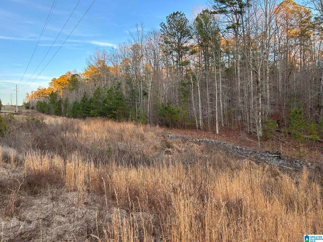 4424 COUNTY ROAD 66, Heflin, AL 36264