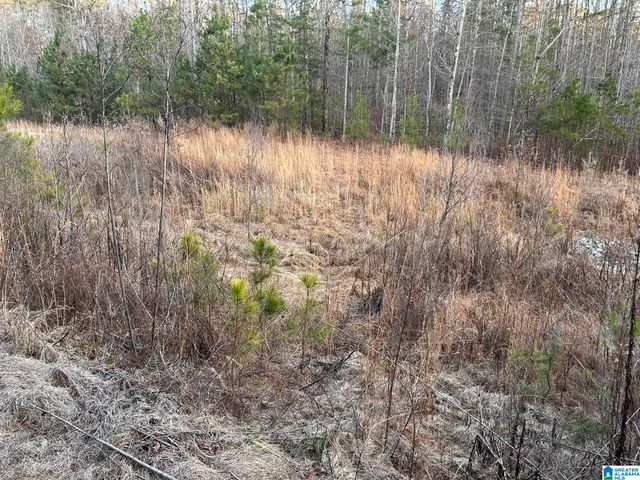 4424 COUNTY ROAD 66, Heflin, AL 36264