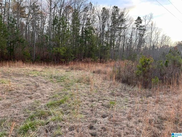 4424 COUNTY ROAD 66, Heflin, AL 36264