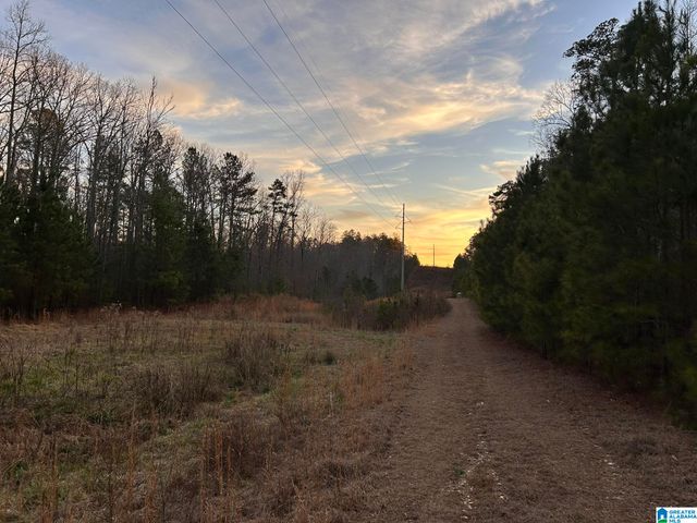 4424 COUNTY ROAD 66, Heflin, AL 36264