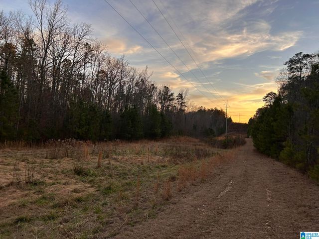 4424 COUNTY ROAD 66, Heflin, AL 36264