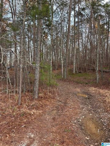 4424 COUNTY ROAD 66, Heflin, AL 36264