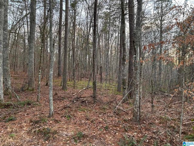 4424 COUNTY ROAD 66, Heflin, AL 36264