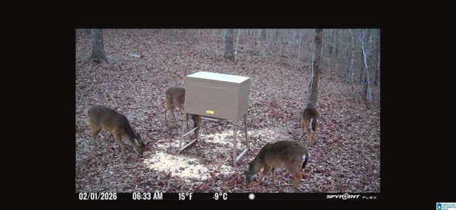 4424 COUNTY ROAD 66, Heflin, AL 36264