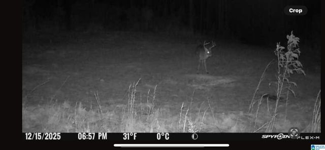 4424 COUNTY ROAD 66, Heflin, AL 36264