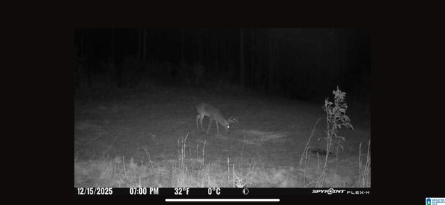 4424 COUNTY ROAD 66, Heflin, AL 36264