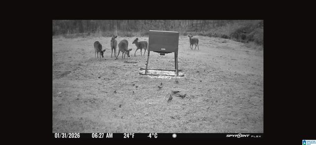 4424 COUNTY ROAD 66, Heflin, AL 36264