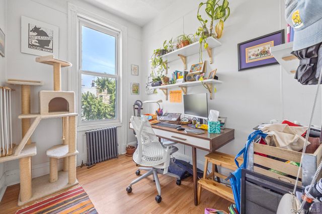 166 Schaefer Street, Brooklyn, NY 11207