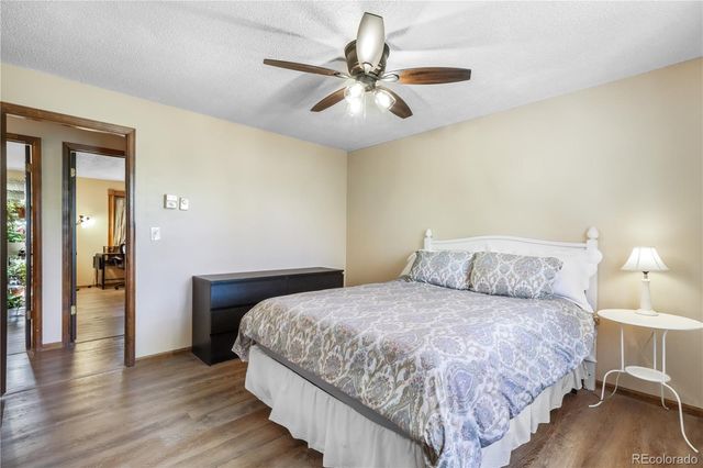 223 Saddlemountain Road, Colorado Springs, CO 80919