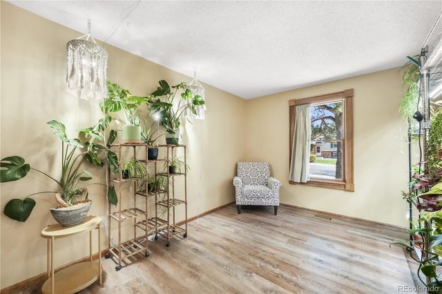 223 Saddlemountain Road, Colorado Springs, CO 80919