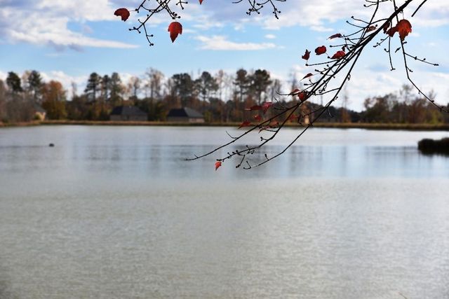 480 Brown Dove Lane, Grayson, GA 30017