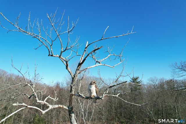 621 Wynne Road, Winchester, CT 06098