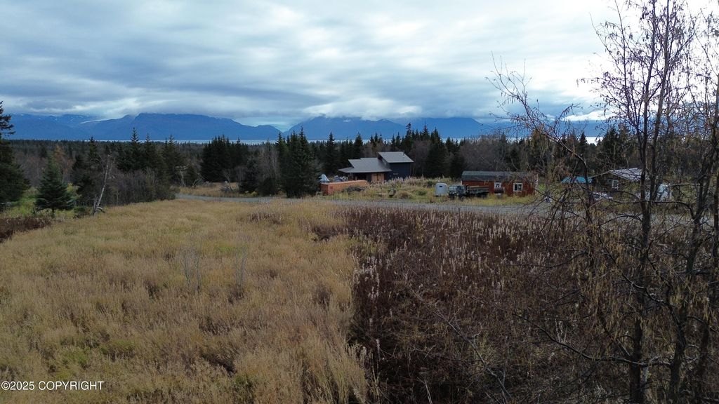 56420 Glenn Road, Homer, AK 99603