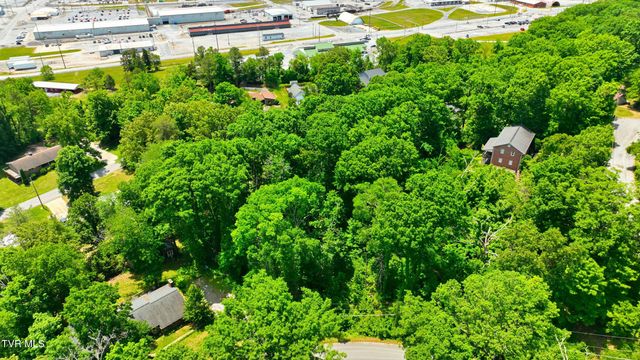 Tbd Blackheath Road, Kingsport, TN 37660