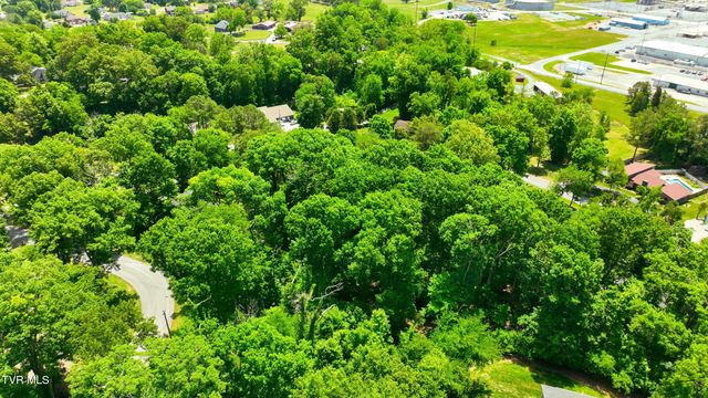 Tbd Blackheath Road, Kingsport, TN 37660