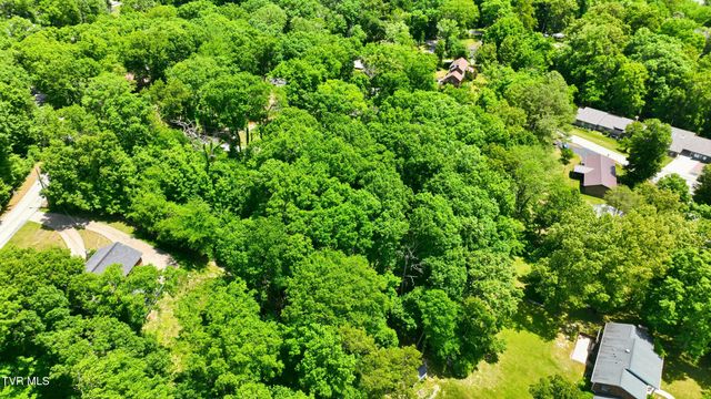 Tbd Blackheath Road, Kingsport, TN 37660