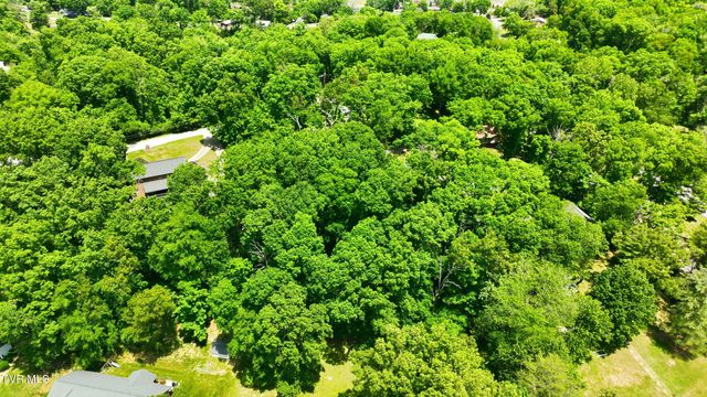 Tbd Blackheath Road, Kingsport, TN 37660