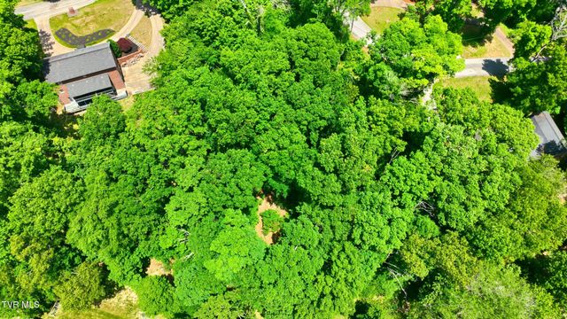 Tbd Blackheath Road, Kingsport, TN 37660