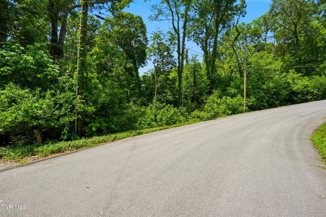 Tbd Blackheath Road, Kingsport, TN 37660