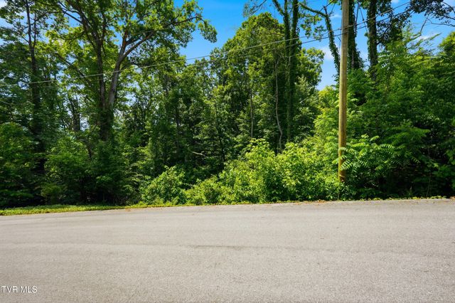 Tbd Blackheath Road, Kingsport, TN 37660