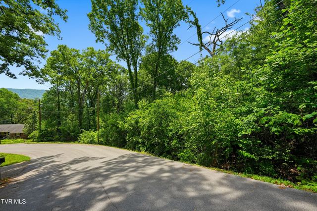 Tbd Blackheath Road, Kingsport, TN 37660