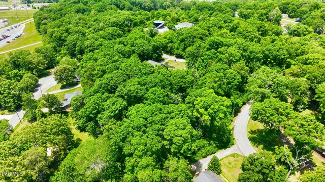 Tbd Blackheath Road, Kingsport, TN 37660