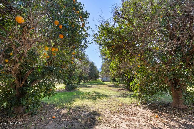 17525 E REGAL Drive, Queen Creek, AZ 85142