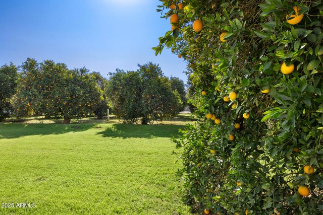 17525 E REGAL Drive, Queen Creek, AZ 85142