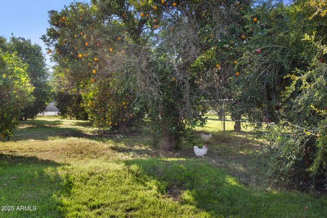 17525 E REGAL Drive, Queen Creek, AZ 85142