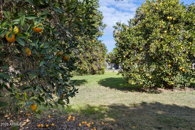 17525 E REGAL Drive, Queen Creek, AZ 85142