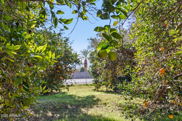 17525 E REGAL Drive, Queen Creek, AZ 85142