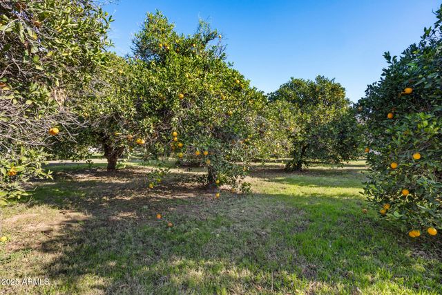 17525 E REGAL Drive, Queen Creek, AZ 85142