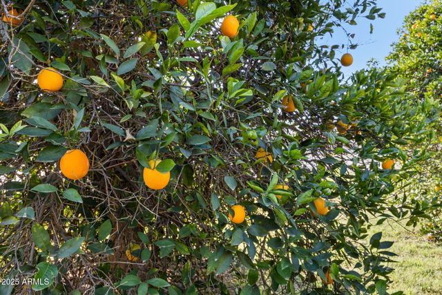 17525 E REGAL Drive, Queen Creek, AZ 85142