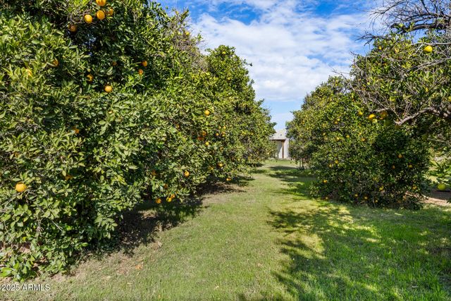 17525 E REGAL Drive, Queen Creek, AZ 85142