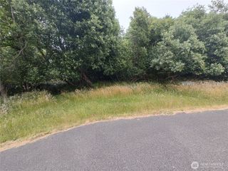660 Alder Court NE, Ocean Shores, WA 98569