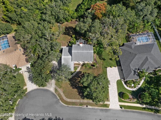 18706 Golden Hawk Court, Hudson, FL 34667